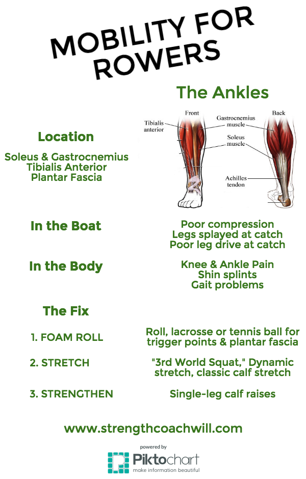 Mobility for Rowers, Part 4 The Ankle Rowing Stronger